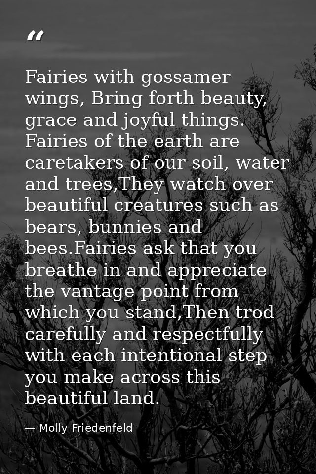 Fairies with gossamer wings, Bring forth beauty, grace and joyful things. Fairies of the earth are caretakers of our soi — Molly Friedenfeld