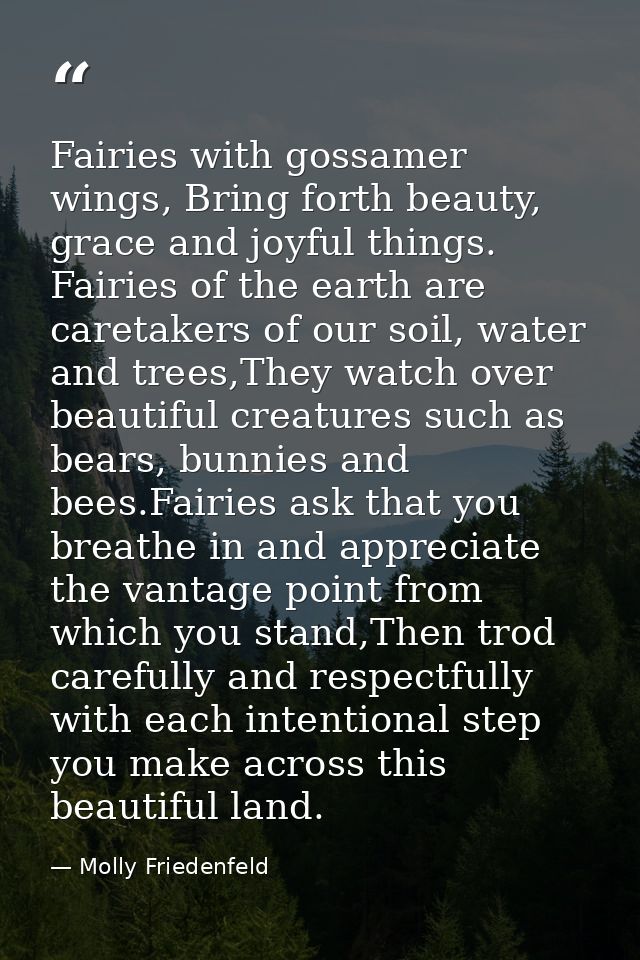 Fairies with gossamer wings, Bring forth beauty, grace and joyful things. Fairies of the earth are caretakers of our soi — Molly Friedenfeld