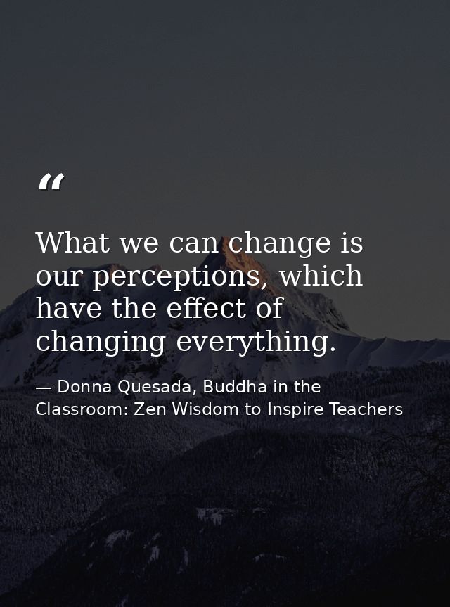 What we can change is our perceptions, which have the effect of changing everything. — Donna Quesada, Buddha in the Classroom: Zen Wisdom to Inspire Teachers