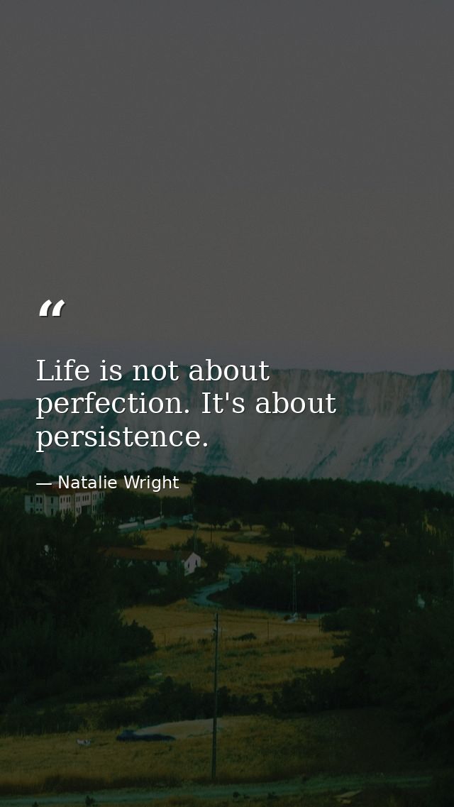 Life is not about perfection. It's about persistence. — Natalie Wright