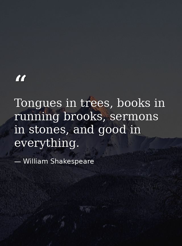 Tongues in trees, books in running brooks, sermons in stones, and good in everything. — William Shakespeare