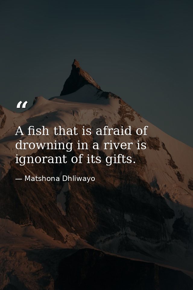 A fish that is afraid of drowning in a river is ignorant of its gifts. — Matshona Dhliwayo