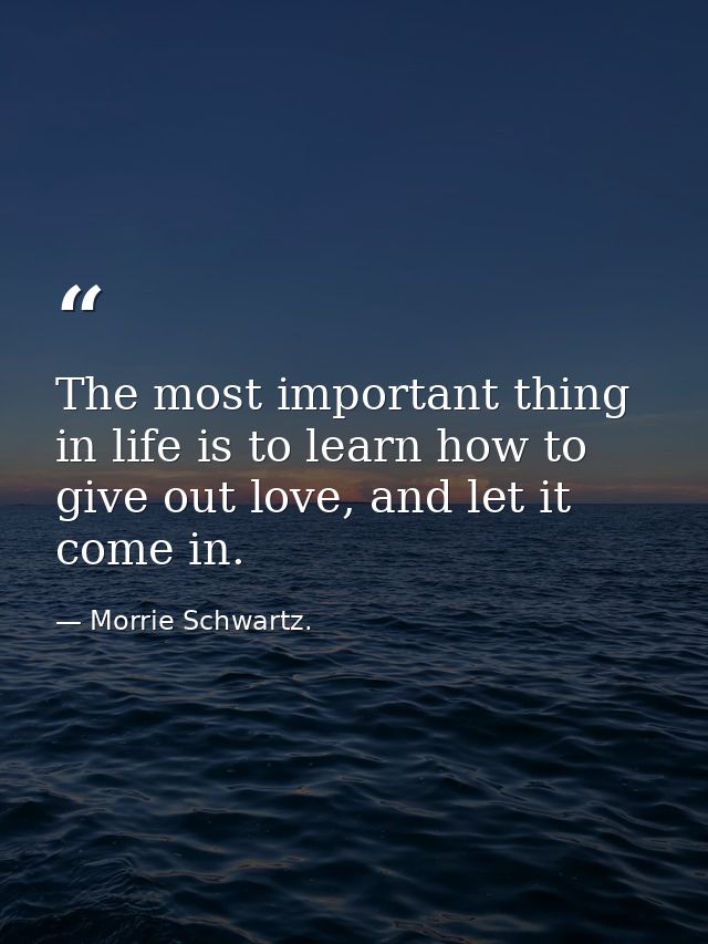 The most important thing in life is to learn how to give out love, and let it come in. — Morrie Schwartz.