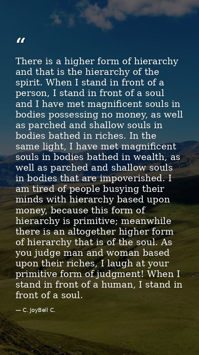 There is a higher form of hierarchy and that is the hierarchy of the spirit. When I stand in front of a person, I stand  — C. JoyBell C.