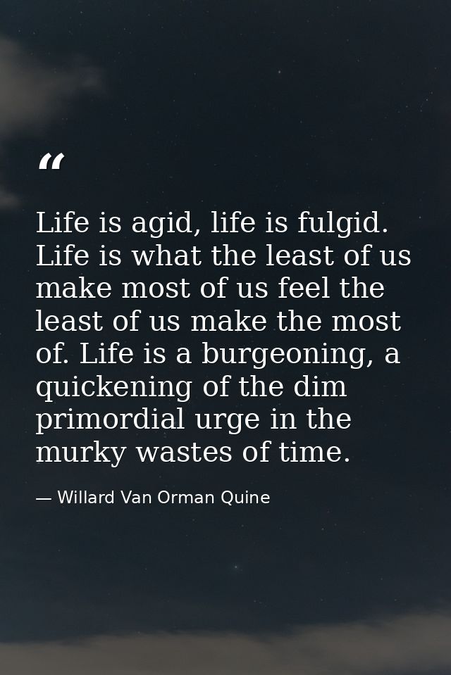 Life is agid, life is fulgid. Life is what the least of us make most of us feel the least of us make the most of. Life i — Willard Van Orman Quine