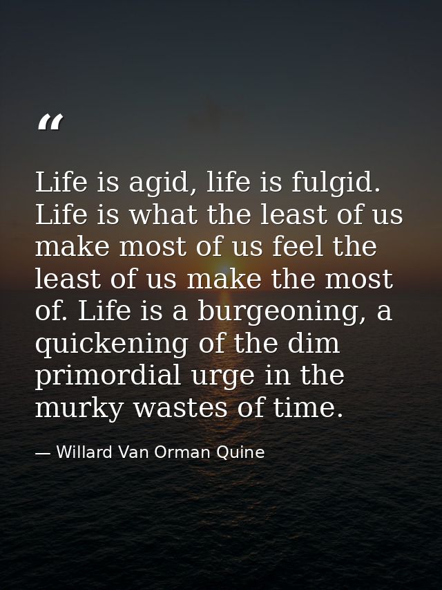 Life is agid, life is fulgid. Life is what the least of us make most of us feel the least of us make the most of. Life i — Willard Van Orman Quine