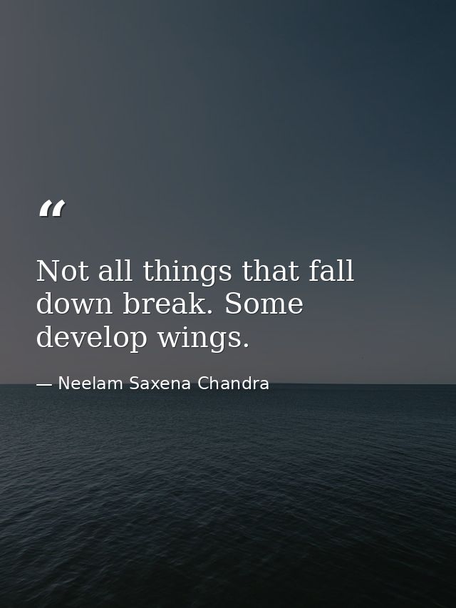 Not all things that fall down break. Some develop wings. — Neelam Saxena Chandra