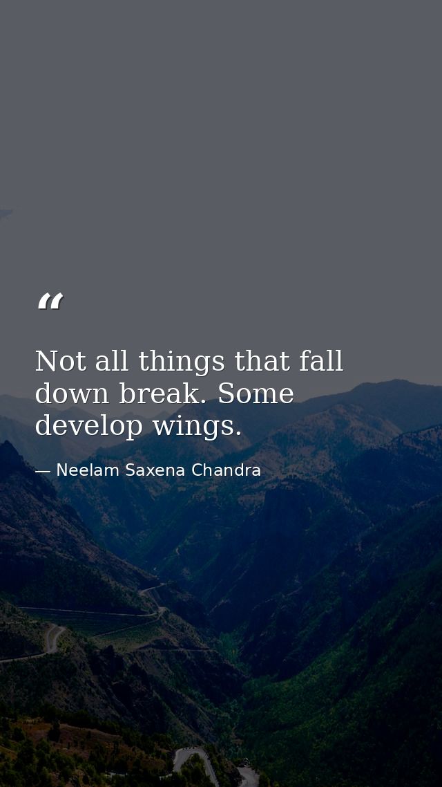 Not all things that fall down break. Some develop wings. — Neelam Saxena Chandra
