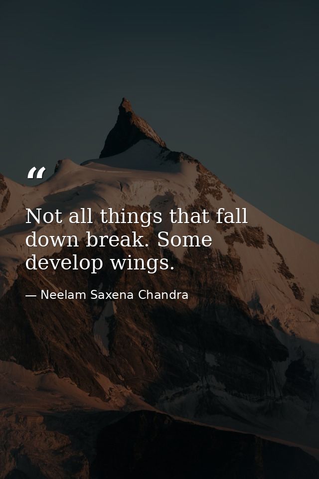 Not all things that fall down break. Some develop wings. — Neelam Saxena Chandra