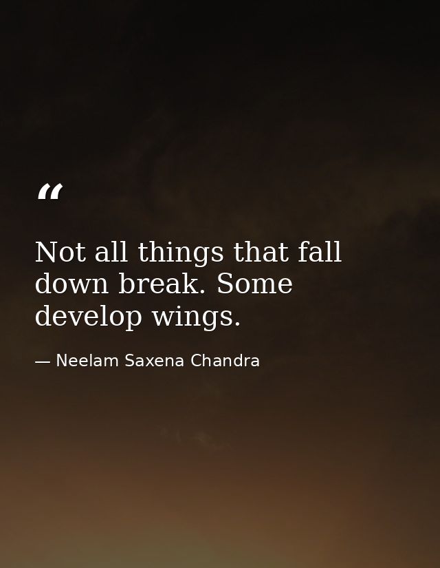 Not all things that fall down break. Some develop wings. — Neelam Saxena Chandra