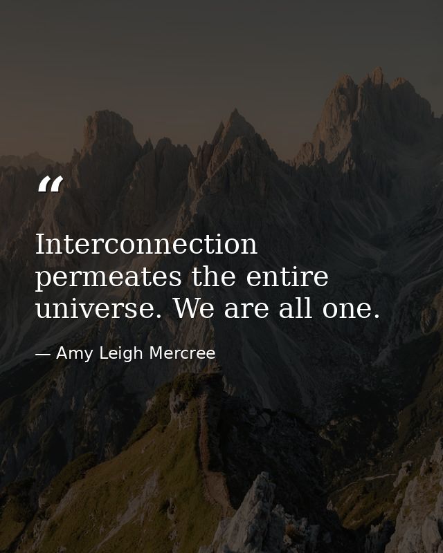 Interconnection permeates the entire universe. We are all one. — Amy Leigh Mercree