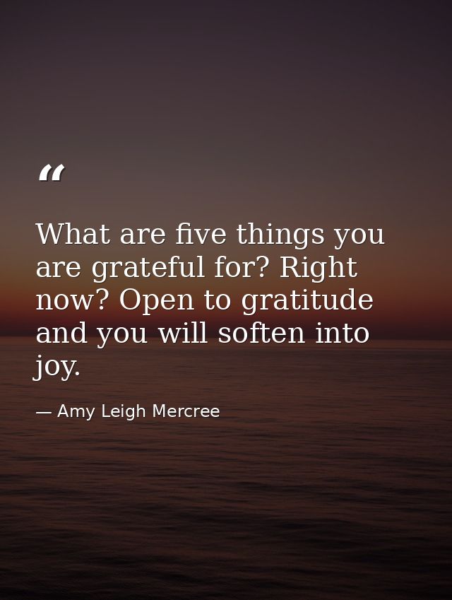 What are five things you are grateful for? Right now? Open to gratitude and you will soften into joy. — Amy Leigh Mercree