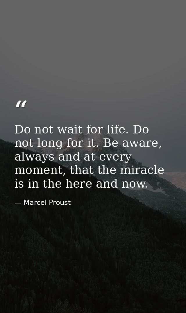 Do not wait for life. Do not long for it. Be aware, always and at every moment, that the miracle is in the here and now. — Marcel Proust