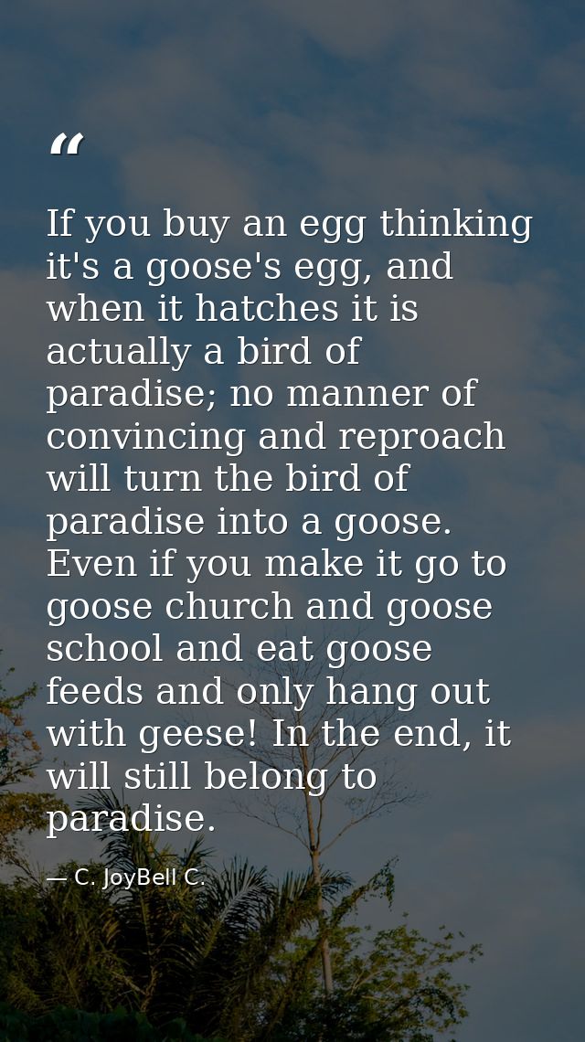 If you buy an egg thinking it's a goose's egg, and when it hatches it is actually a bird of paradise; no manner of convi — C. JoyBell C.