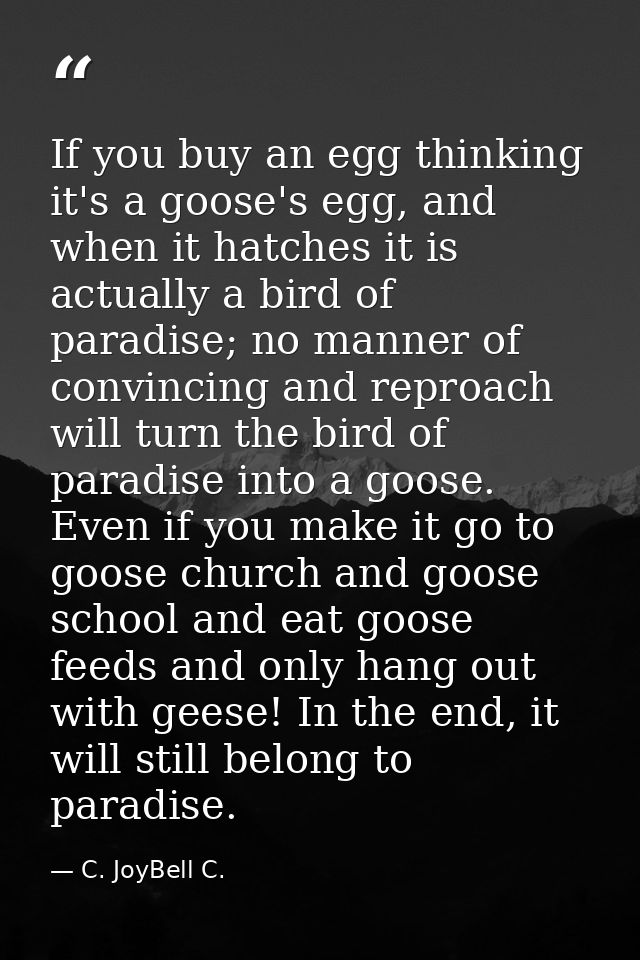 If you buy an egg thinking it's a goose's egg, and when it hatches it is actually a bird of paradise; no manner of convi — C. JoyBell C.