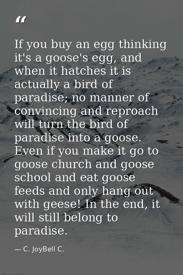 If you buy an egg thinking it's a goose's egg, and when it hatches it is actually a bird of paradise; no manner of convi — C. JoyBell C.