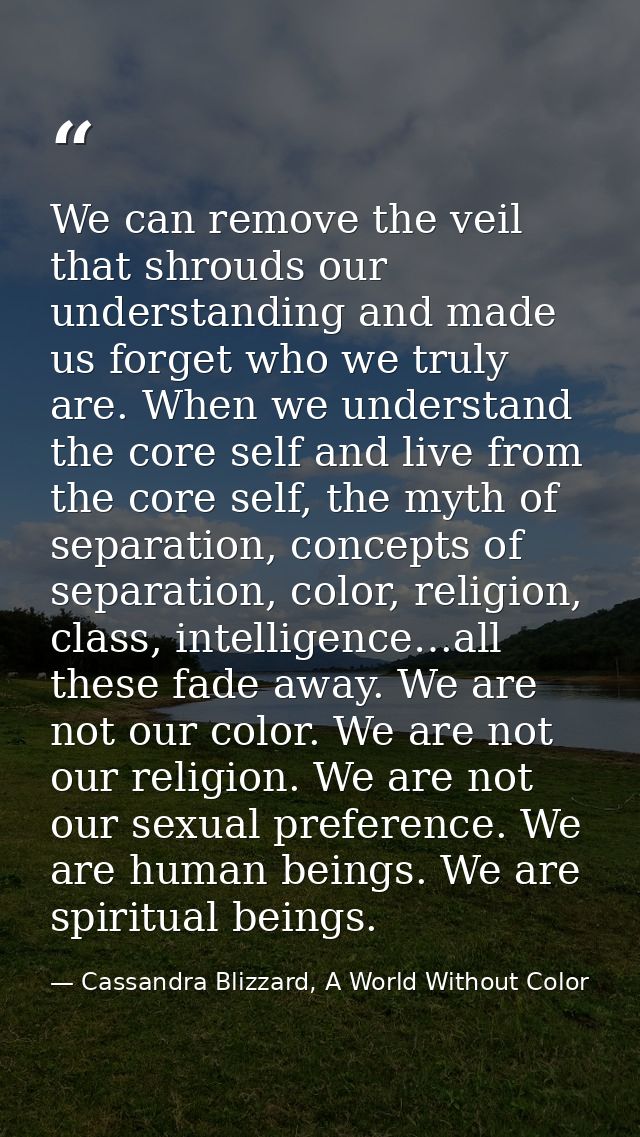 We can remove the veil that shrouds our understanding and made us forget who we truly are. When we understand the core s — Cassandra Blizzard, A World Without Color