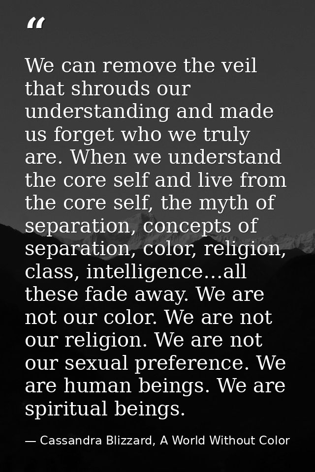 We can remove the veil that shrouds our understanding and made us forget who we truly are. When we understand the core s — Cassandra Blizzard, A World Without Color
