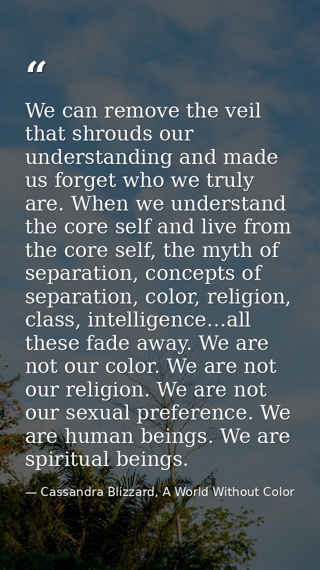 We can remove the veil that shrouds our understanding and made us forget who we truly are. When we understand the core s — Cassandra Blizzard, A World Without Color
