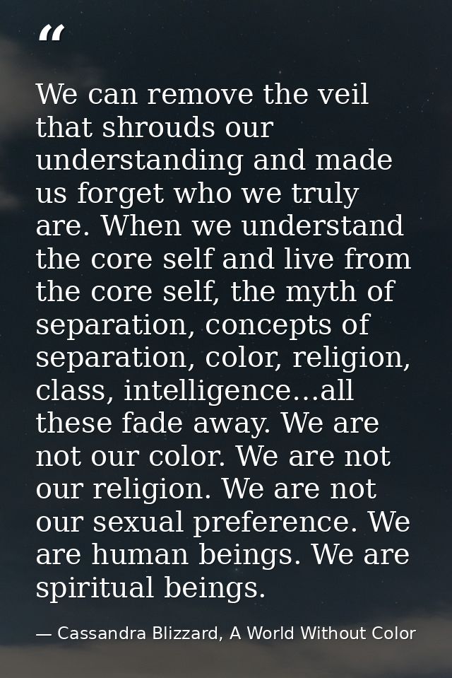 We can remove the veil that shrouds our understanding and made us forget who we truly are. When we understand the core s — Cassandra Blizzard, A World Without Color
