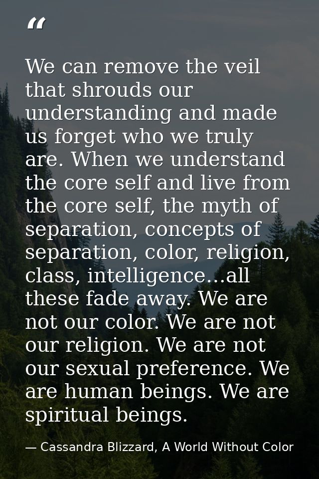 We can remove the veil that shrouds our understanding and made us forget who we truly are. When we understand the core s — Cassandra Blizzard, A World Without Color