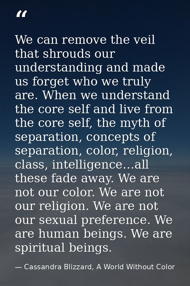 We can remove the veil that shrouds our understanding and made us forget who we truly are. When we understand the core s — Cassandra Blizzard, A World Without Color