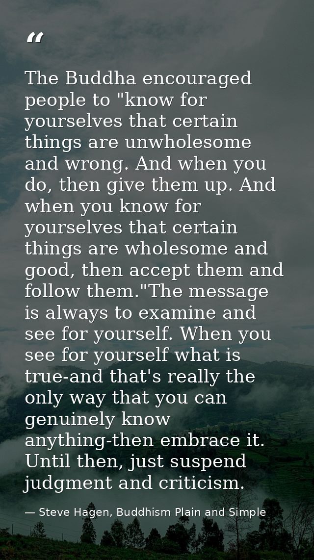 The Buddha encouraged people to "know for yourselves that certain things are unwholesome and wrong. And when you do, the — Steve Hagen, Buddhism Plain and Simple