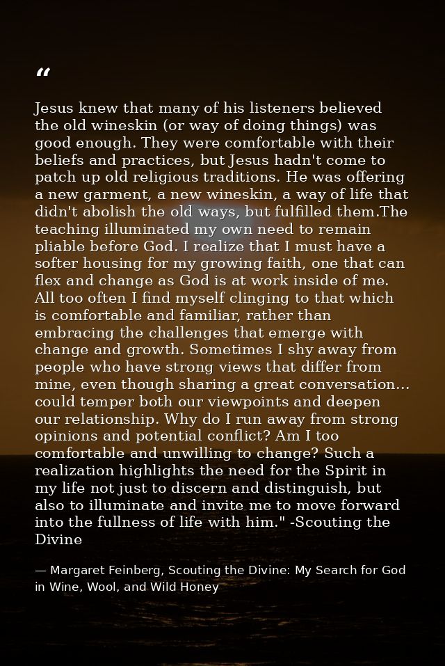 Jesus knew that many of his listeners believed the old wineskin (or way of doing things) was good enough. They were comf — Margaret Feinberg, Scouting the Divine: My Search for God in Wine, Wool, and Wild Honey