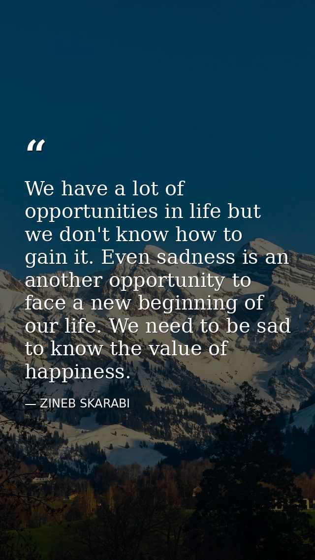We have a lot of opportunities in life but we don't know how to gain it. Even sadness is an another opportunity to face  — ZINEB SKARABI