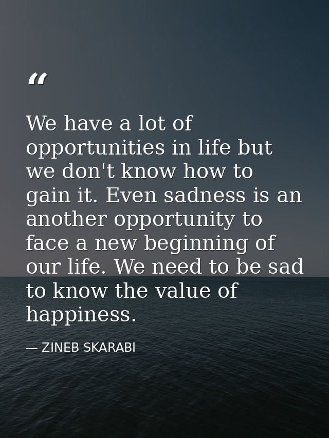We have a lot of opportunities in life but we don't know how to gain it. Even sadness is an another opportunity to face  — ZINEB SKARABI