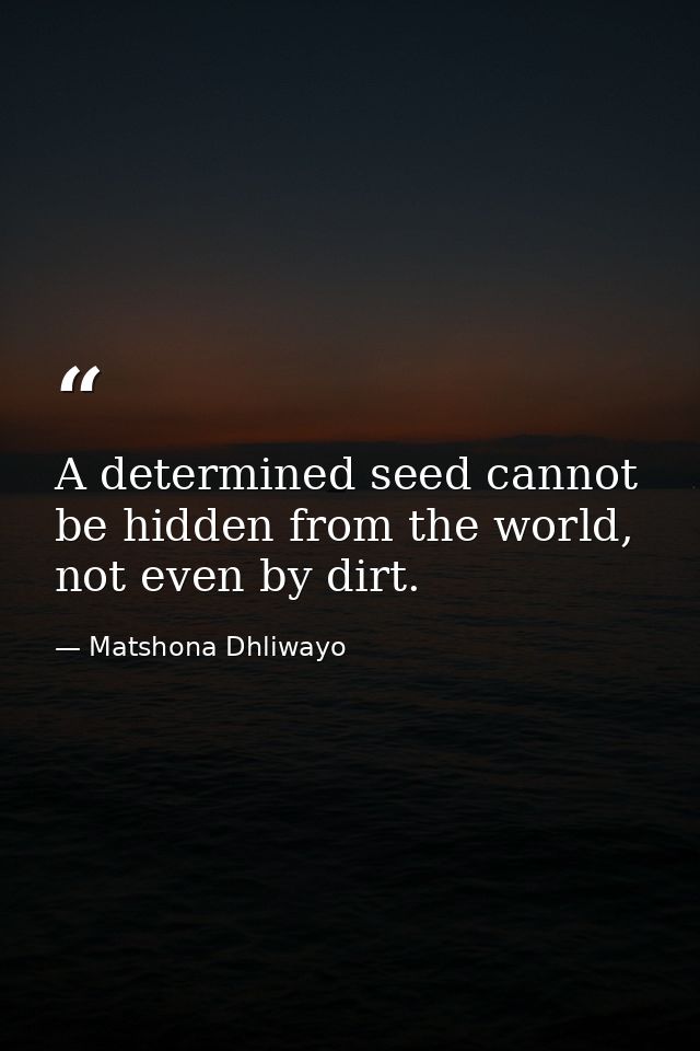 A determined seed cannot be hidden from the world, not even by dirt. — Matshona Dhliwayo