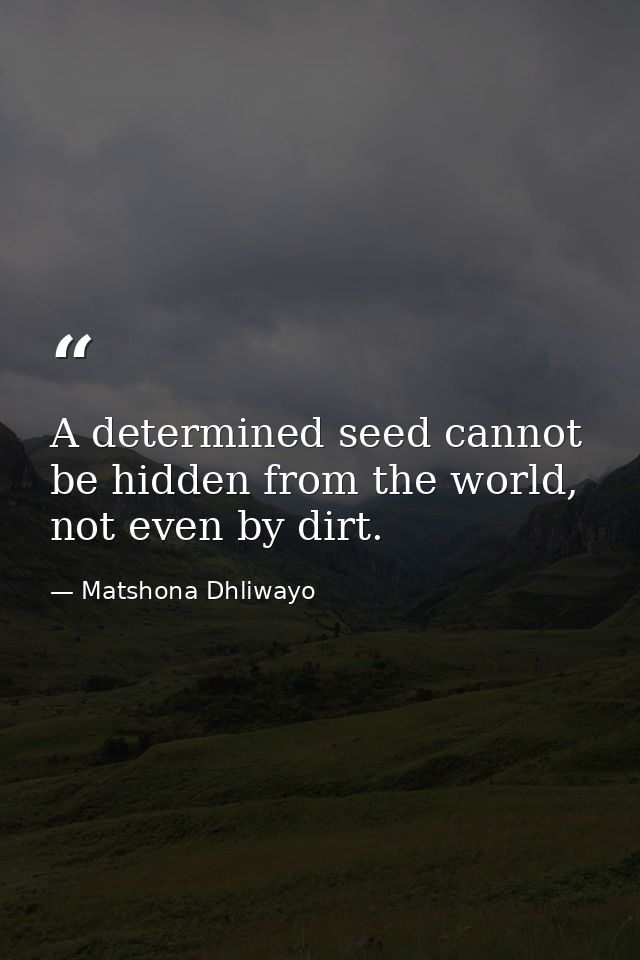A determined seed cannot be hidden from the world, not even by dirt. — Matshona Dhliwayo