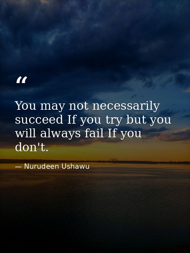 You may not necessarily succeed If you try but you will always fail If you don't. — Nurudeen Ushawu