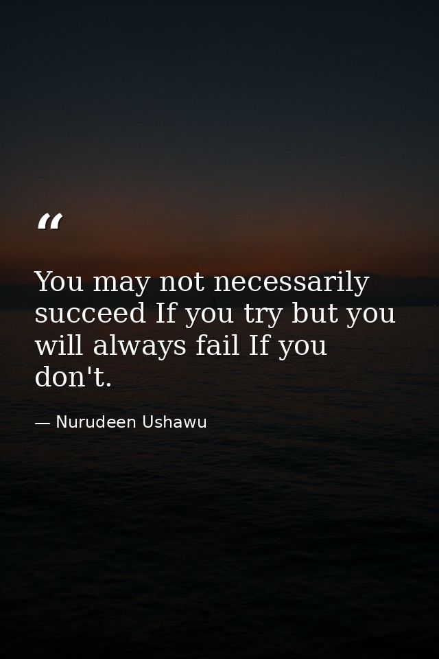 You may not necessarily succeed If you try but you will always fail If you don't. — Nurudeen Ushawu