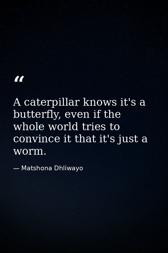 A caterpillar knows it's a butterfly, even if the whole world tries to convince it that it's just a worm. — Matshona Dhliwayo