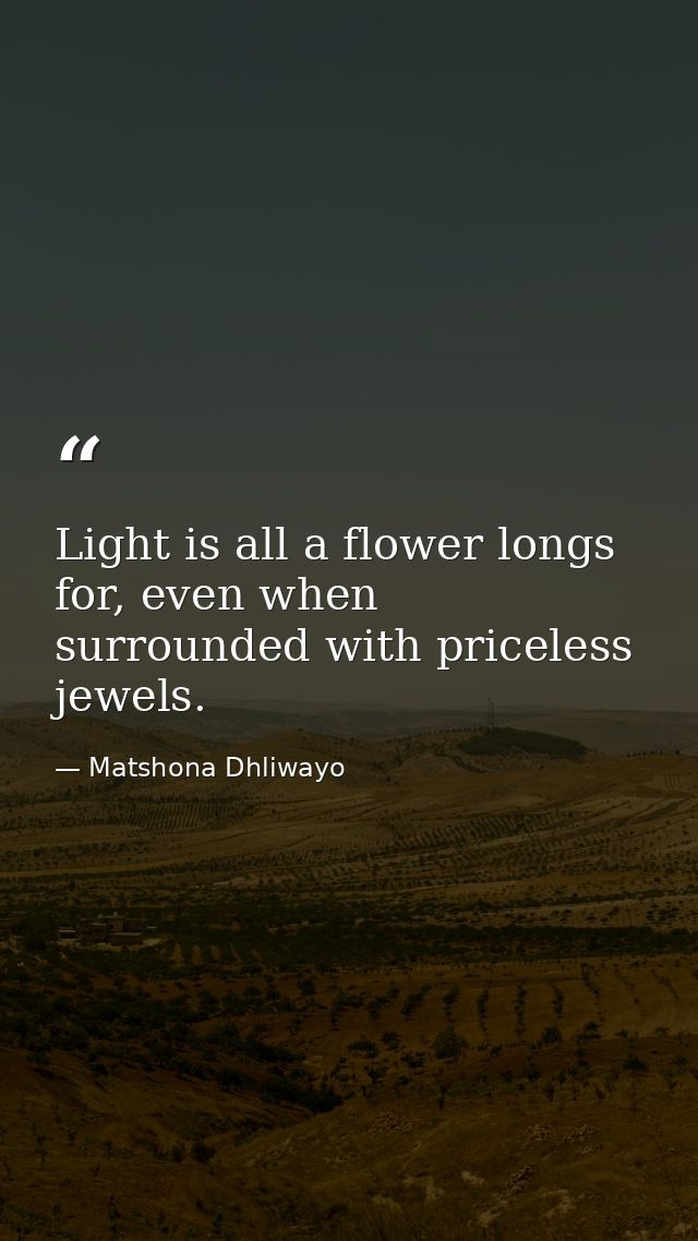 Light is all a flower longs for, even when surrounded with priceless jewels. — Matshona Dhliwayo