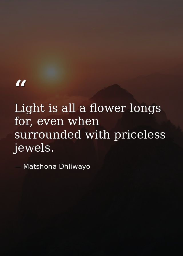 Light is all a flower longs for, even when surrounded with priceless jewels. — Matshona Dhliwayo