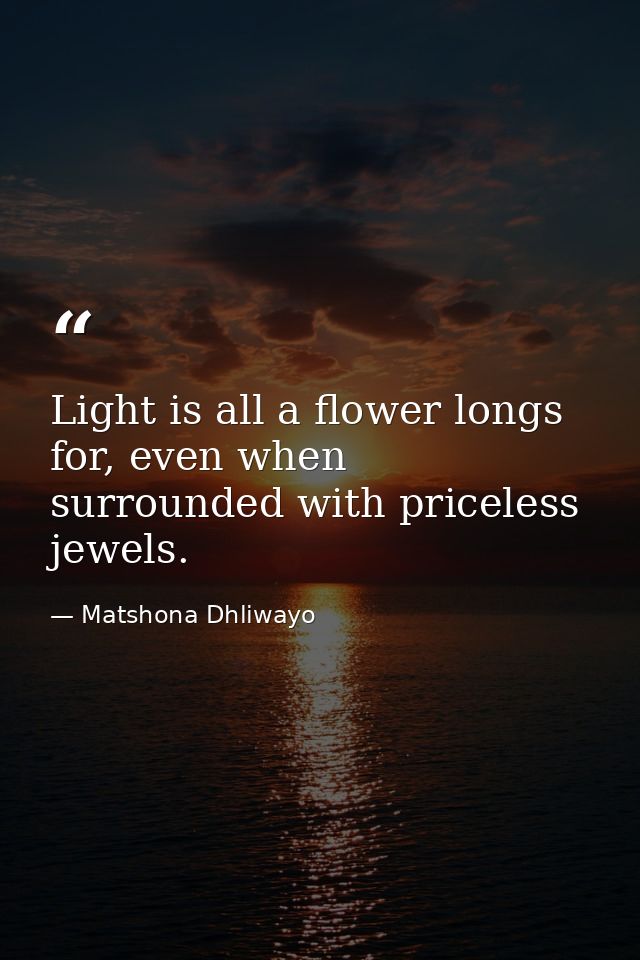 Light is all a flower longs for, even when surrounded with priceless jewels. — Matshona Dhliwayo