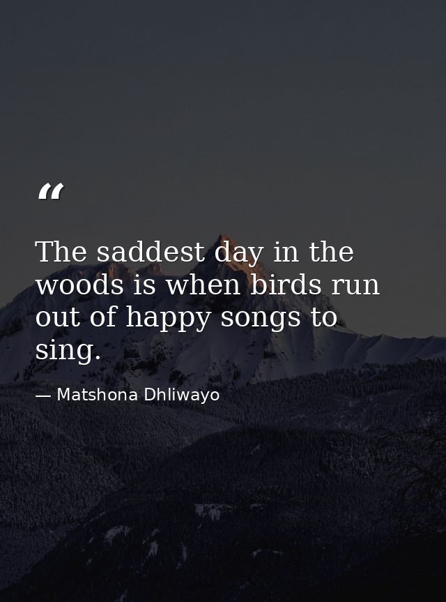 The saddest day in the woods is when birds run out of happy songs to sing. — Matshona Dhliwayo