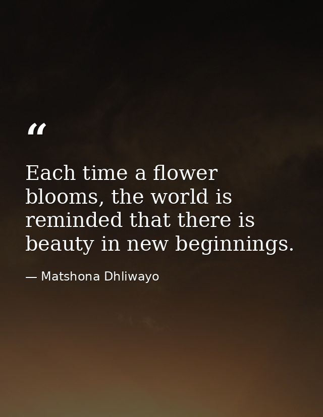 Each time a flower blooms, the world is reminded that there is beauty in new beginnings. — Matshona Dhliwayo