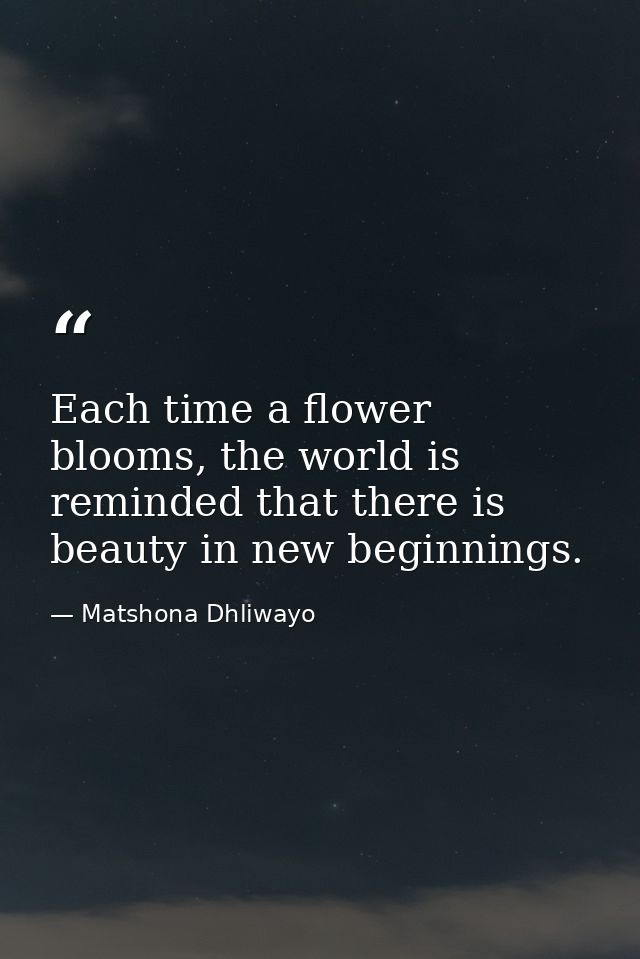 Each time a flower blooms, the world is reminded that there is beauty in new beginnings. — Matshona Dhliwayo