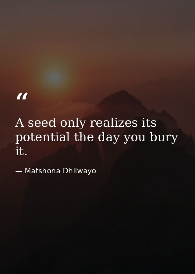 A seed only realizes its potential the day you bury it. — Matshona Dhliwayo