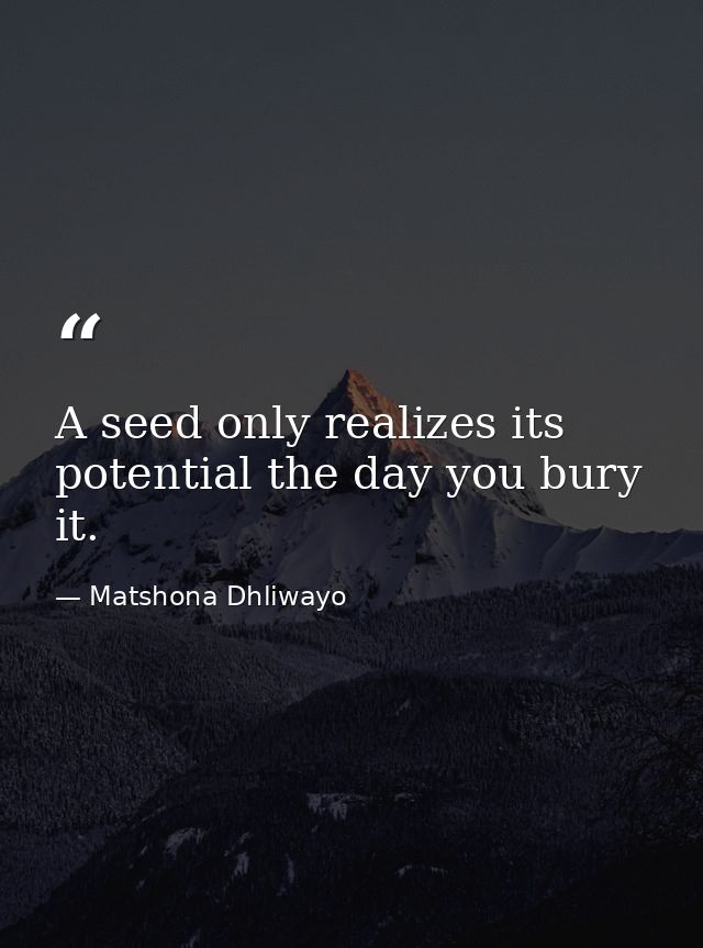 A seed only realizes its potential the day you bury it. — Matshona Dhliwayo