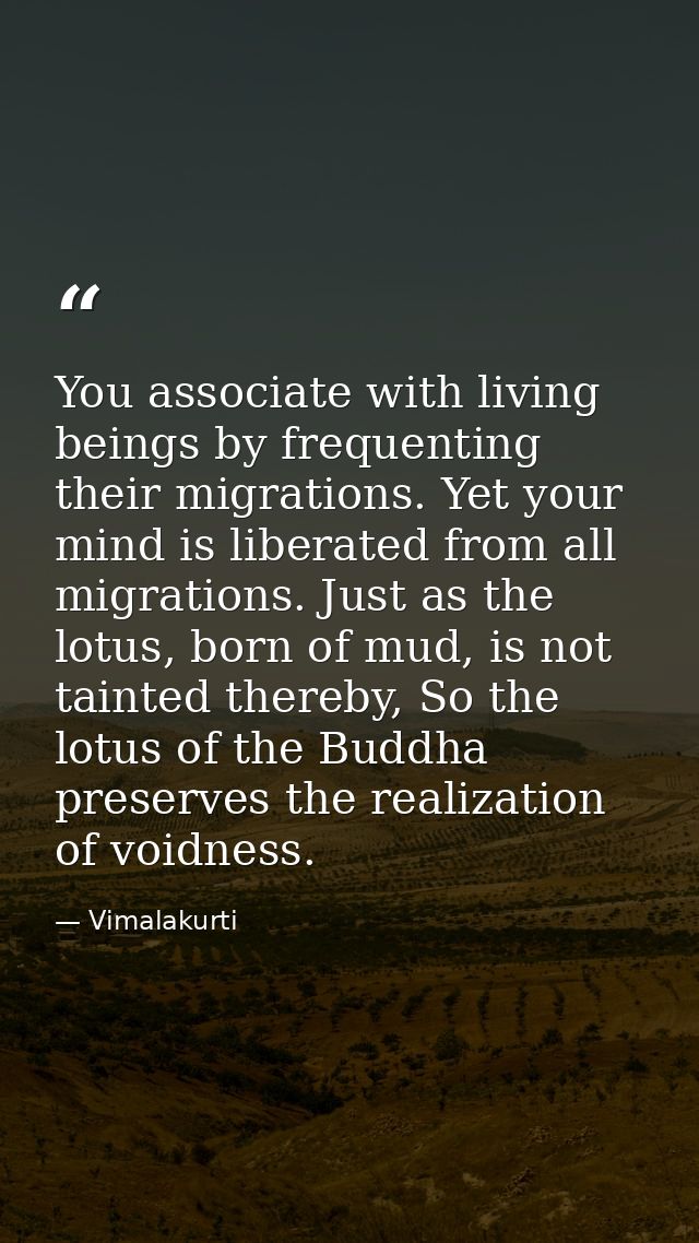 You associate with living beings by frequenting their migrations. Yet your mind is liberated from all migrations. Just a — Vimalakurti