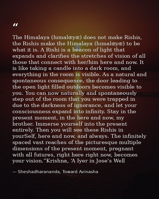 The Himalaya (hɪmalɶyɶ) does not make Rishis, the Rishis make the Himalaya (hɪmalɶyɶ) to be what it is. A Rishi is a bea — Sheshadharananda, Toward Avinasha