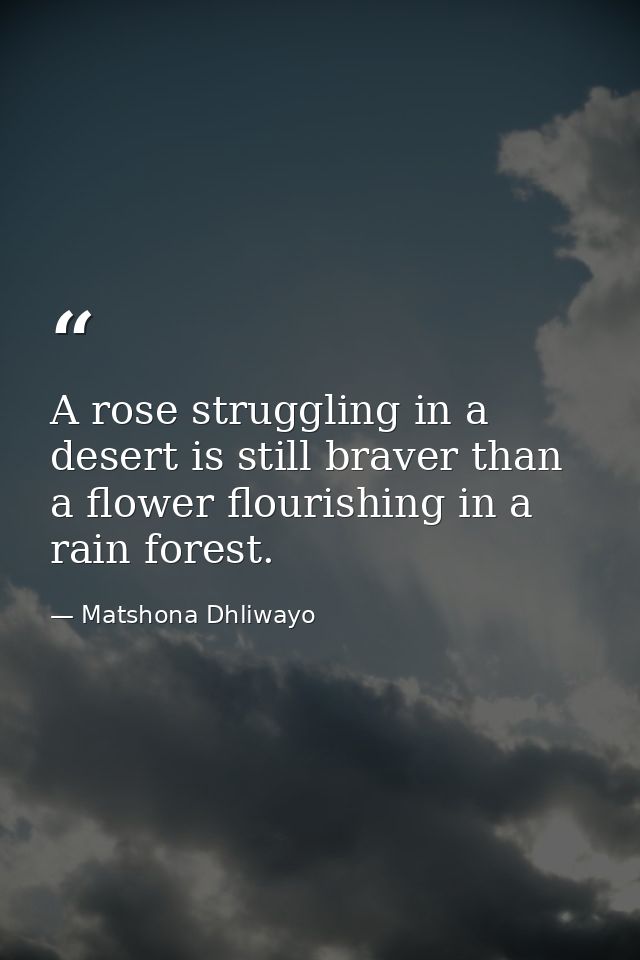 A rose struggling in a desert is still braver than a flower flourishing in a rain forest. — Matshona Dhliwayo