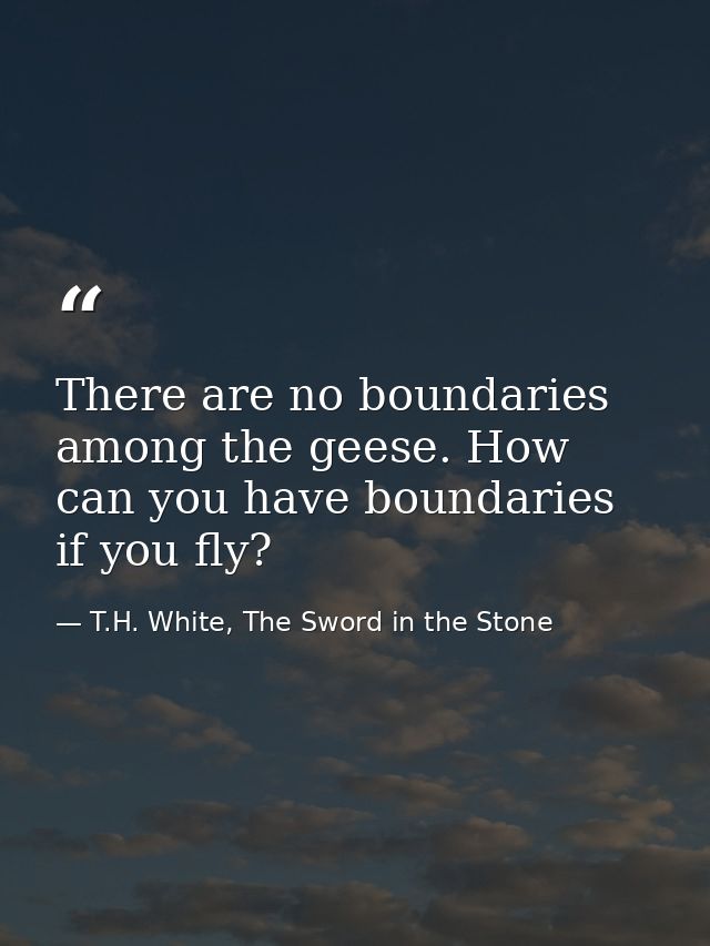 There are no boundaries among the geese. How can you have boundaries if you fly? — T.H. White, The Sword in the Stone
