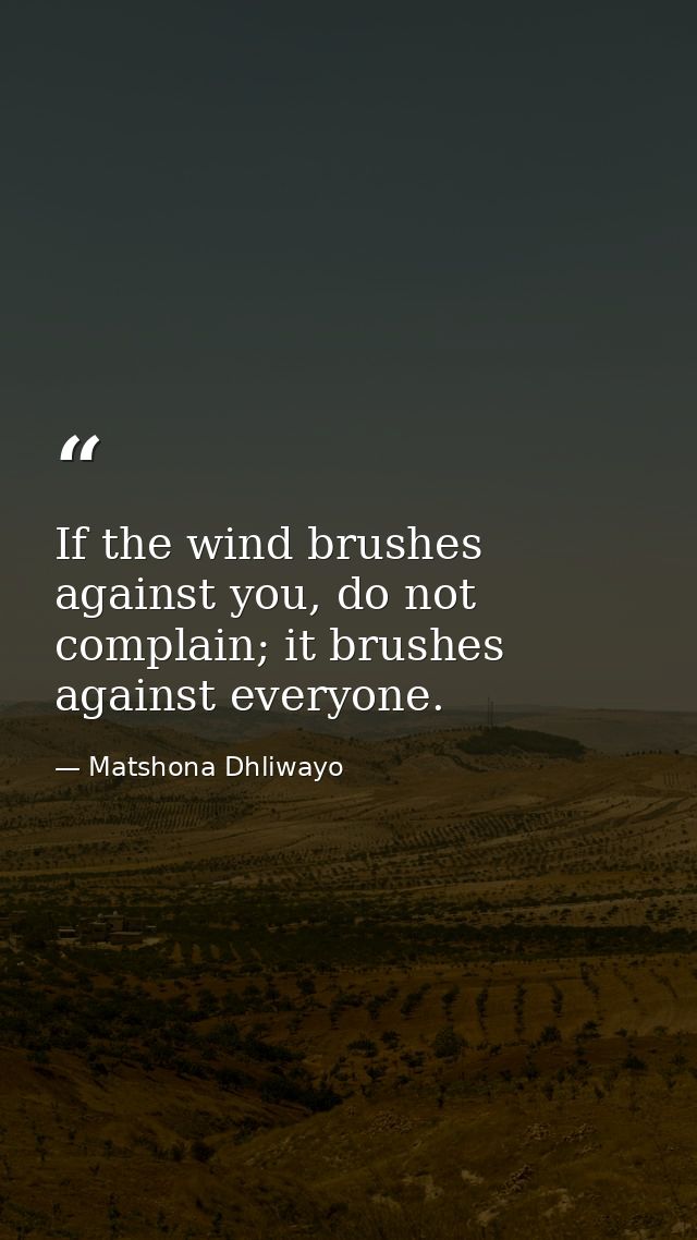 If the wind brushes against you, do not complain; it brushes against everyone. — Matshona Dhliwayo