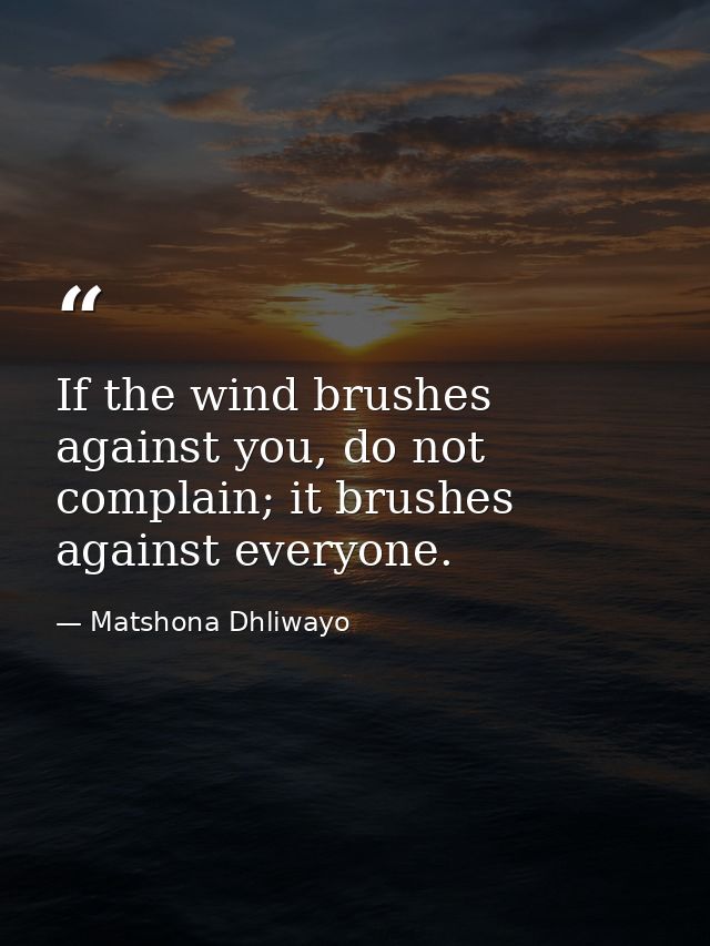 If the wind brushes against you, do not complain; it brushes against everyone. — Matshona Dhliwayo