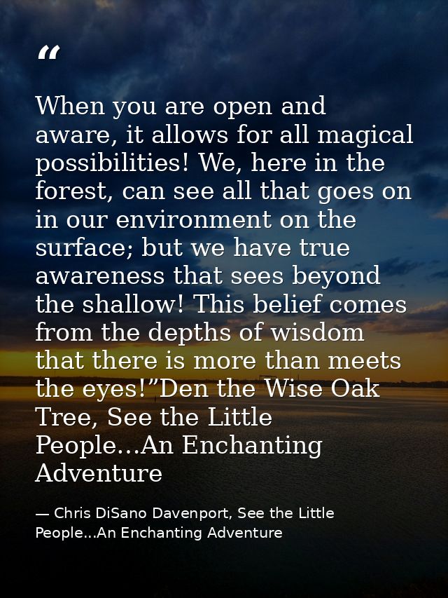 When you are open and aware, it allows for all magical possibilities! We, here in the forest, can see all that goes on i — Chris DiSano Davenport, See the Little People...An Enchanting Adventure